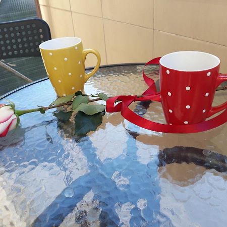 Studio 17 Belgrad Zewnętrze zdjęcie