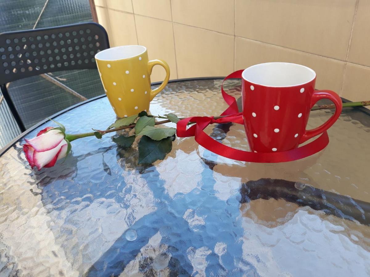 Studio 17 Belgrad Zewnętrze zdjęcie