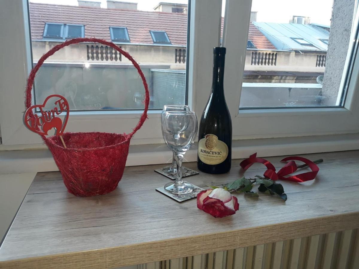 Studio 17 Belgrad Zewnętrze zdjęcie