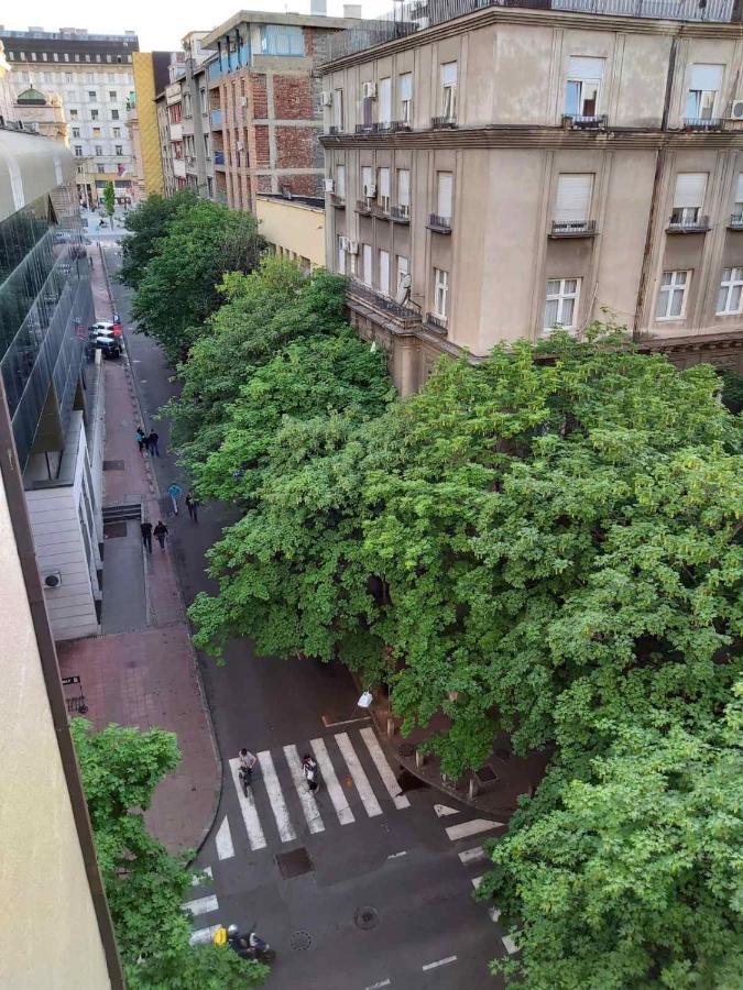 Studio 17 Belgrad Zewnętrze zdjęcie